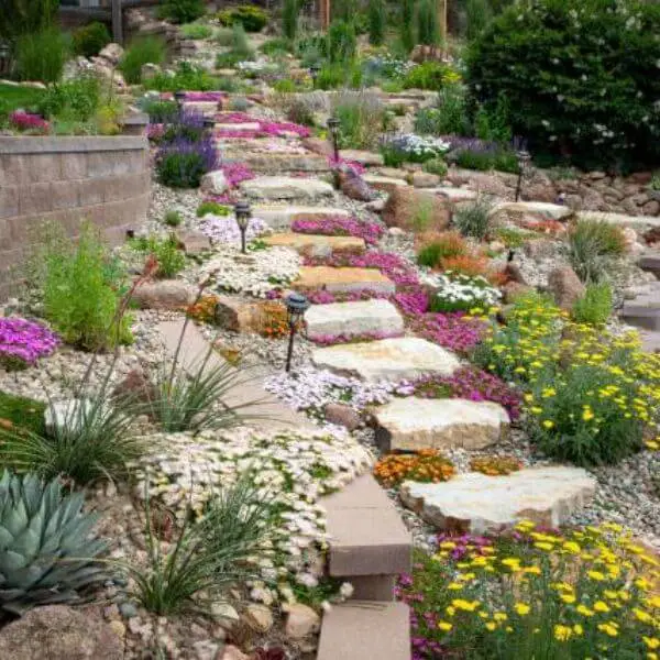 Rock Gardens for Low-Maintenance Beauty