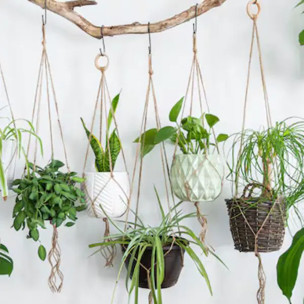 Weave a Mini Macramé Hanger for Small Potted Plants