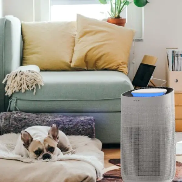 Air Purifier for Clean Air