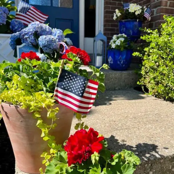 Arrange Red, White, and Blue Flowers in Outdoor Planters