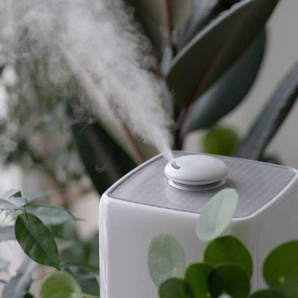 Humidifier for Air Quality