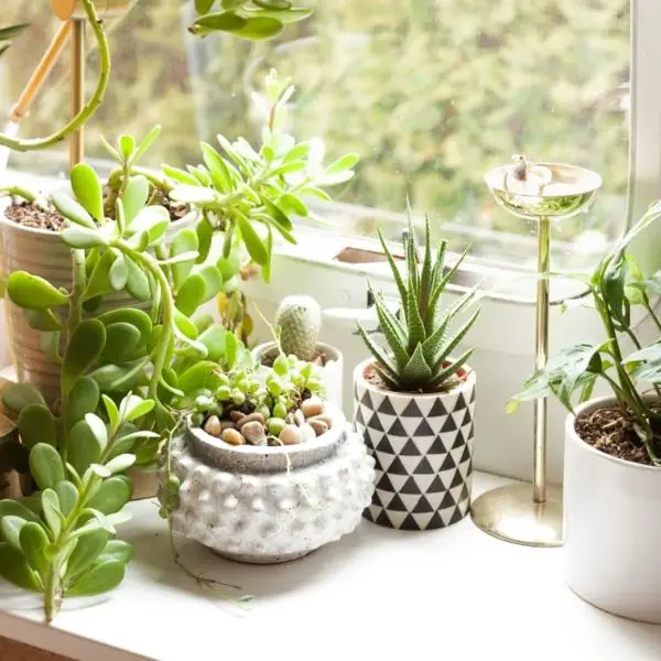 Planters and Pots for Indoor Plants