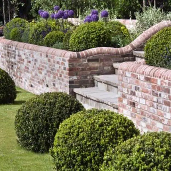 Tiered Garden Beds as a Backdrop