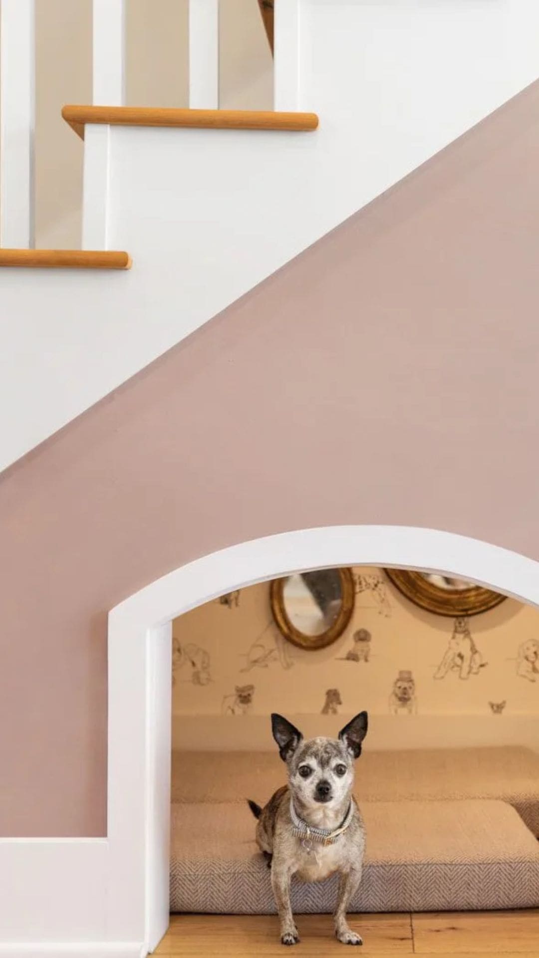 Dog Space Under Stairs: The Perfect Pet Nook