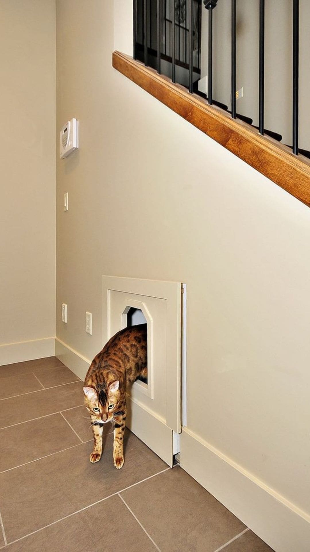  Cat Space Under Stairs with Litter Box Storage